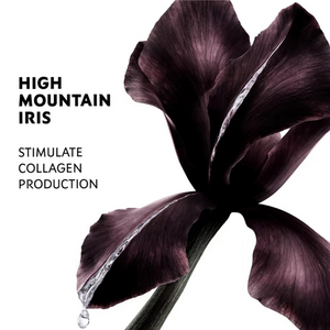 زهرة السوسن البنفسجية من مكونات الكريم