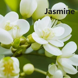 زهور الياسمين الأبيض من مكونات العطر النسائي