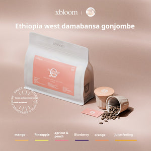Co-branded fresh bean cup xbloom x Youronai Da Ethiopian Sidama Bansha Gongjue shell