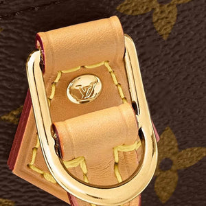 حقيبة Louis Vuitton Alma Nano بنقشة Monogram الأيقونية.