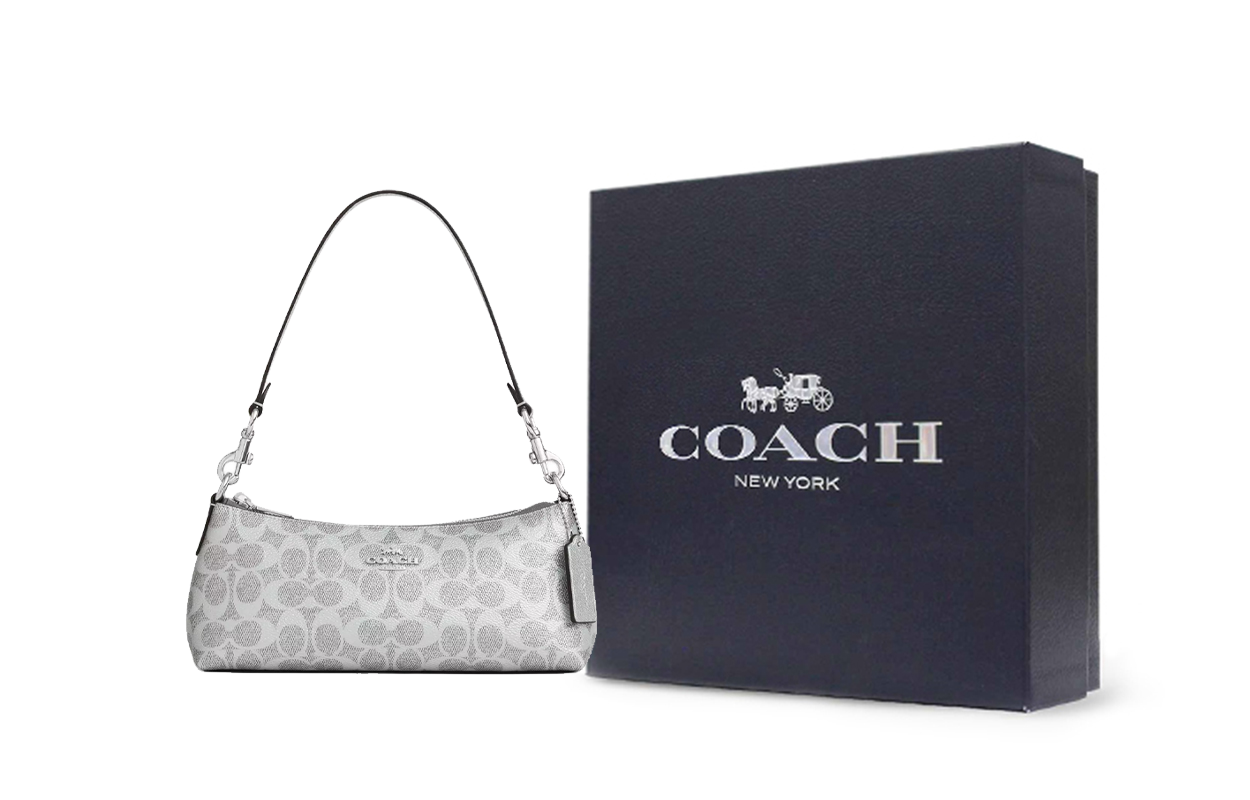 COACH Charlotte 25  Silver.