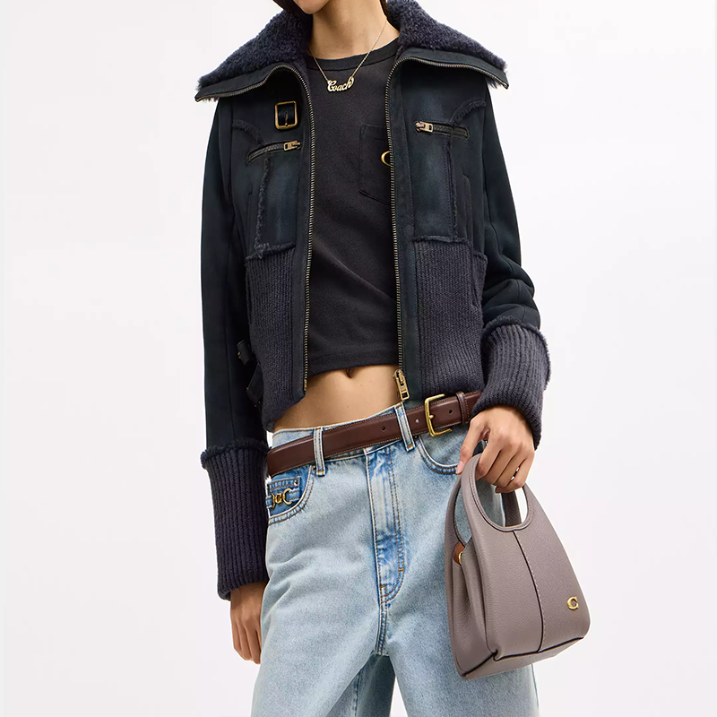 COACH Lana 19 Brand Logo Detachable Chain Strap Polished Pebble Pattern Leather Single Shoulder Crossbody Handbag Small Women's Brass Gray Edition