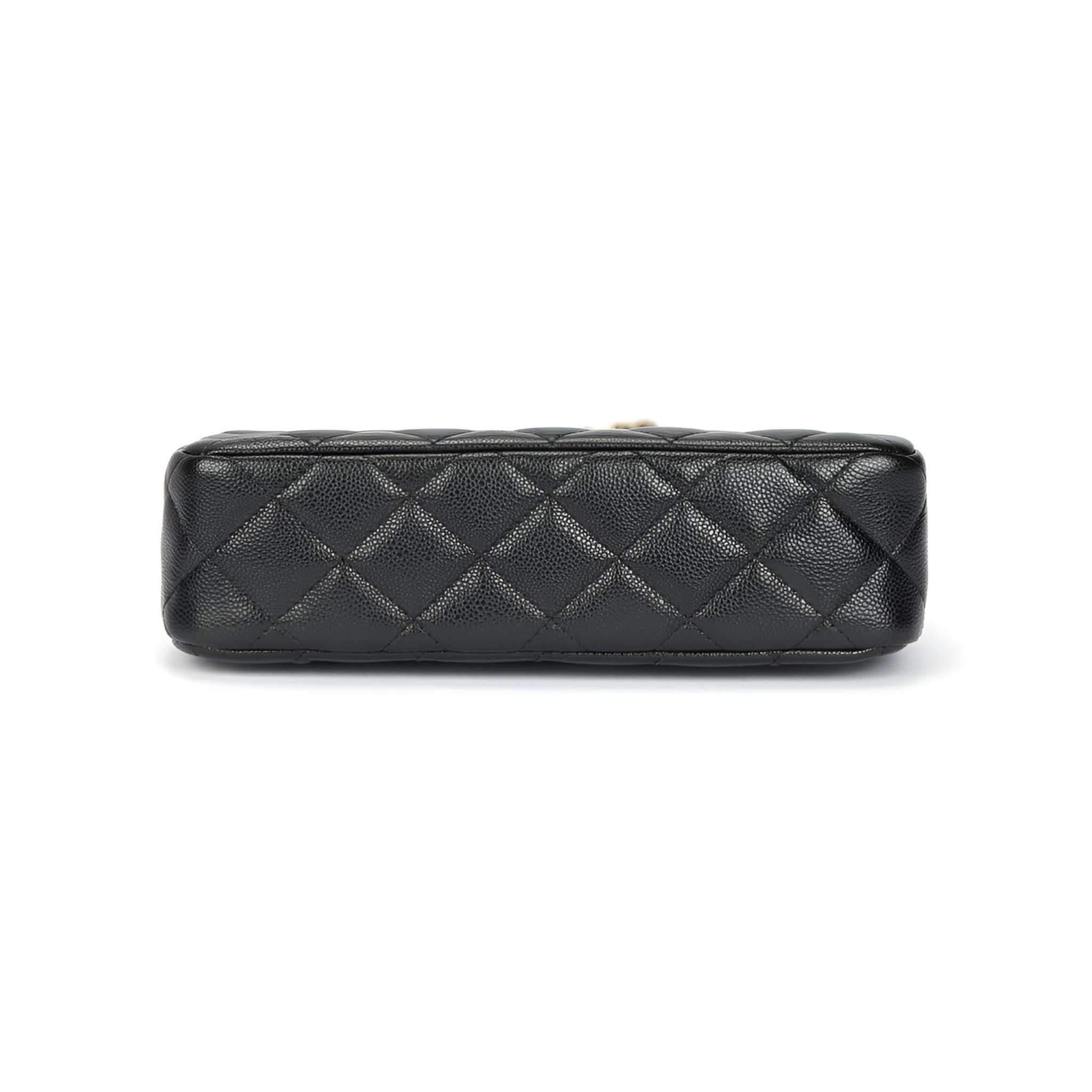 CHANEL 25A Cannabis Shoulder Bag Black.