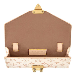 Louis Vuitton Belt Bag Gold Chain.