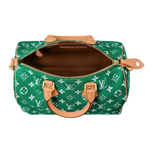 حقيبة Louis Vuitton Speedy 30 بلون أخضر مميز وأنيق.