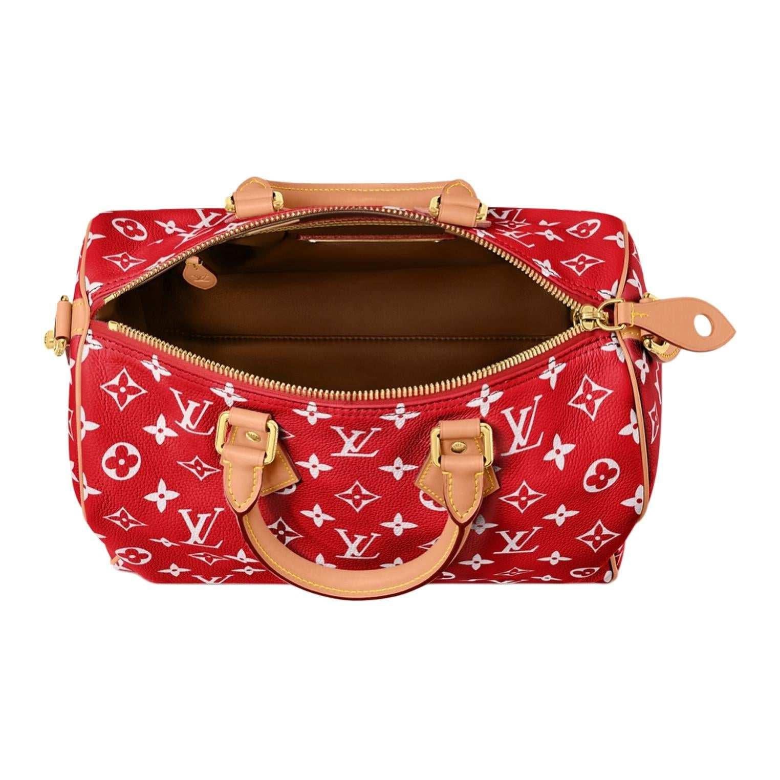 حقيبة Louis Vuitton Speedy 30 باللون الأحمر المميز.