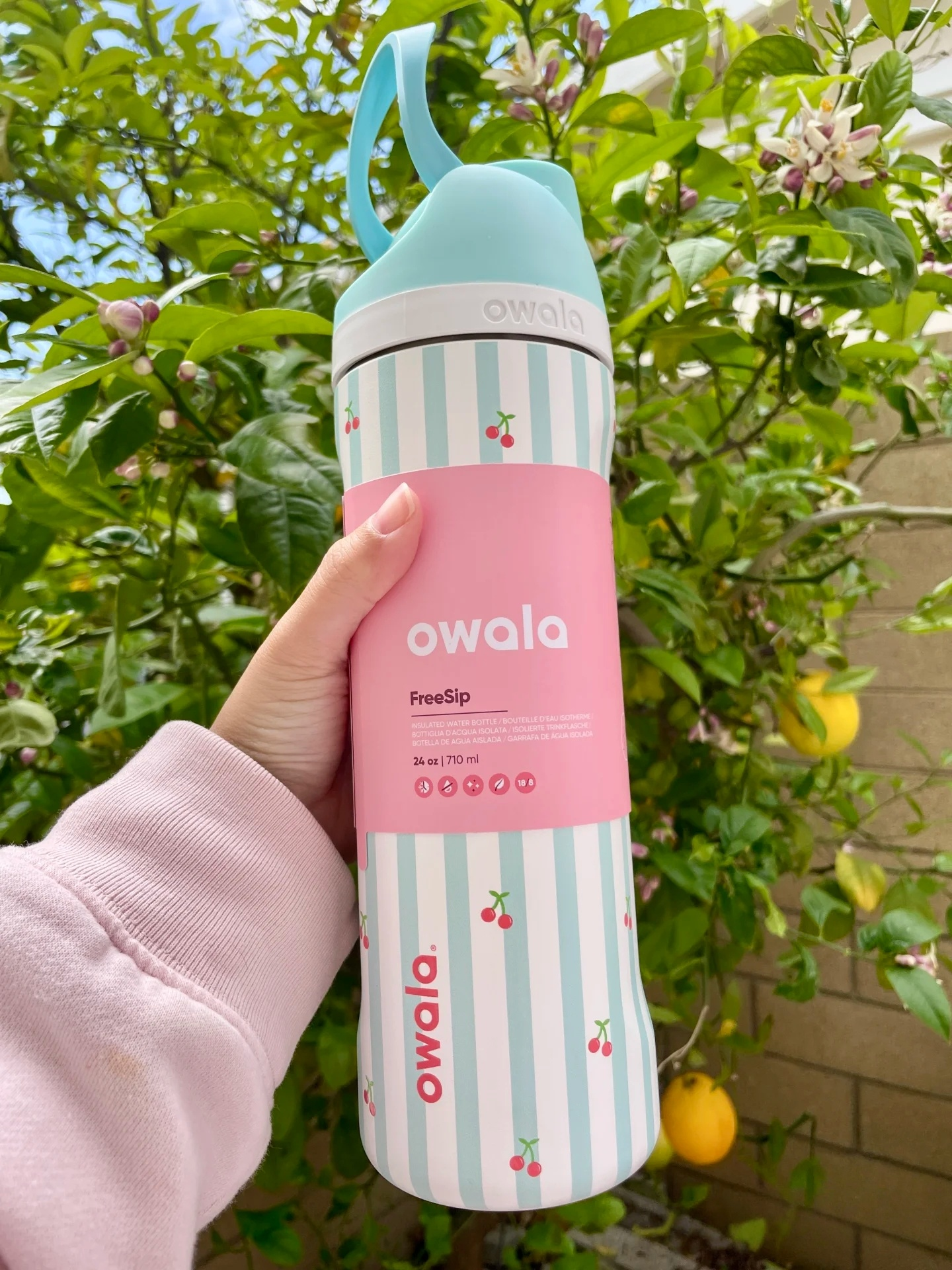 زجاجة مياه Owala بتصميم عصري وعازل مزدوج وألوان باستيل مع نقوش الكرز ومقبض سيليكون لسهولة الحمل
