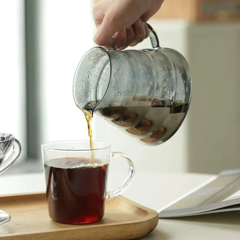 إبريق تقديم القهوة المقطرة Hario V60 بسعة 600ml ولون فضي مميز.