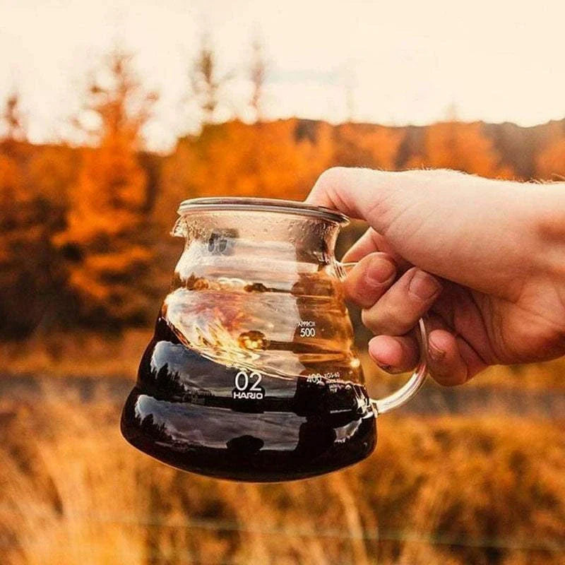 HARIO  large capacity glass coffee pot XGS سيرفر.
