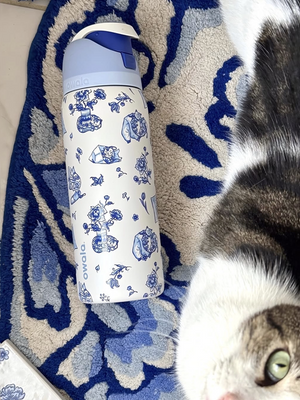 Owala New UO Co-Branded delft cat Blue Cat Insulated Cold Cup with Straw Sports Kettle 32oz