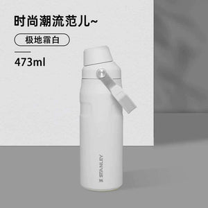 Stanley high-value fashion insulation cup.