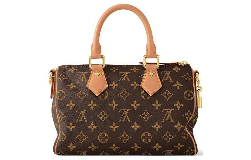 حقيبة Louis Vuitton Speedy 25 Monogram بنقشة كلاسيكية.