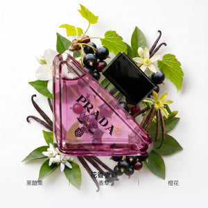 صورة عطر برادا النسائي بارادوكس
