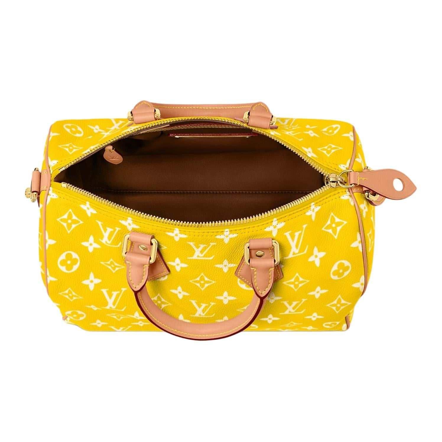حقيبة Louis Vuitton Speedy 30 باللون الأصفر المميز.