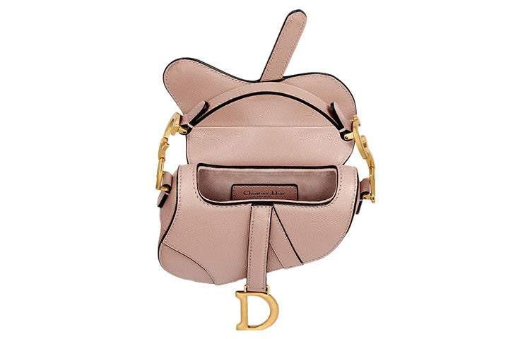 DIOR Mini Saddle Bag.