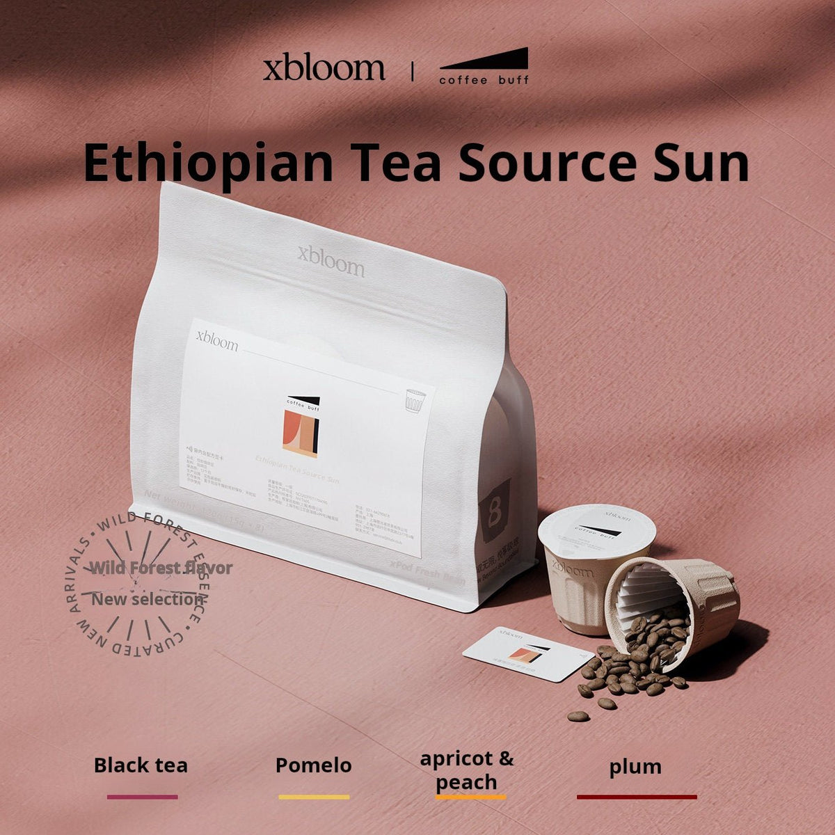 كبسولة قهوة إكسبلوم إثيوبية من مجموعة Ethiopian Tea Source Sun بغلاف من قصب السكر