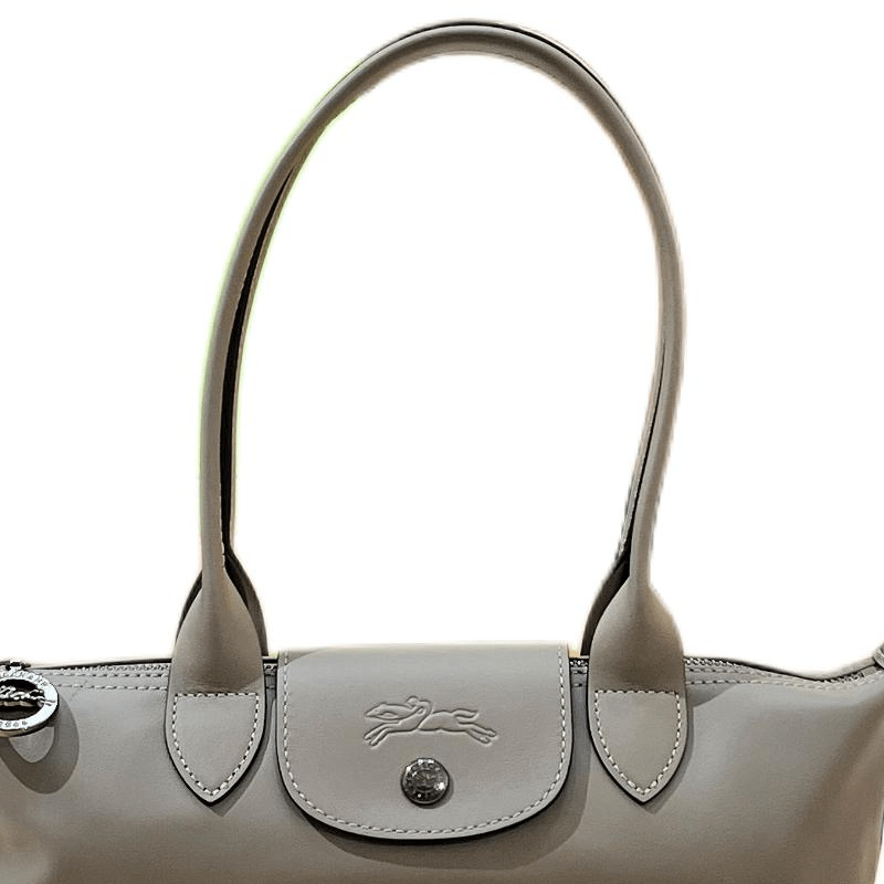 LONGCHAMP Le Pliage Xtra gun-colored metallic accessory cowhide long-handled baguette hand-carry shoulder bag medium size women's dove gray