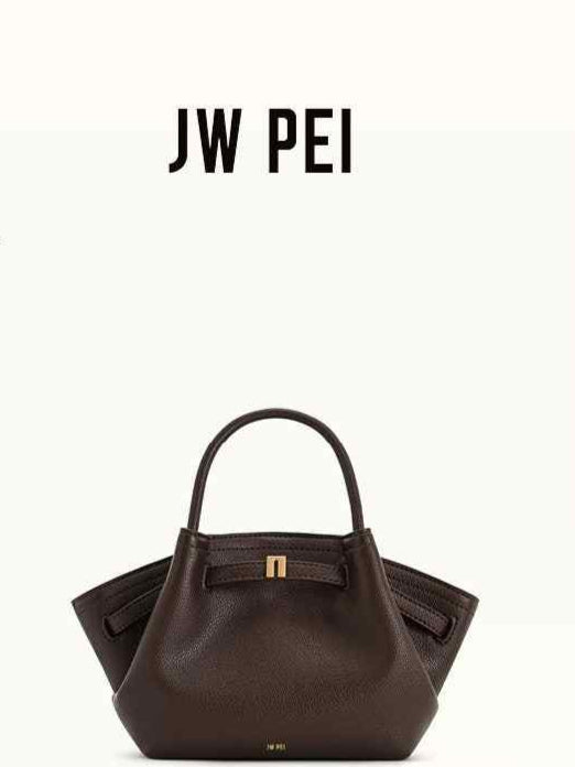 JW PEI HANA Dumpling Bag in dark brown شنطة jw pei hana