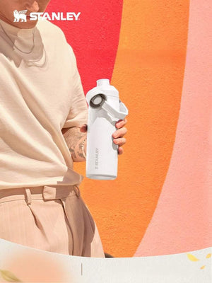 Stanley high-value fashion insulation cup.