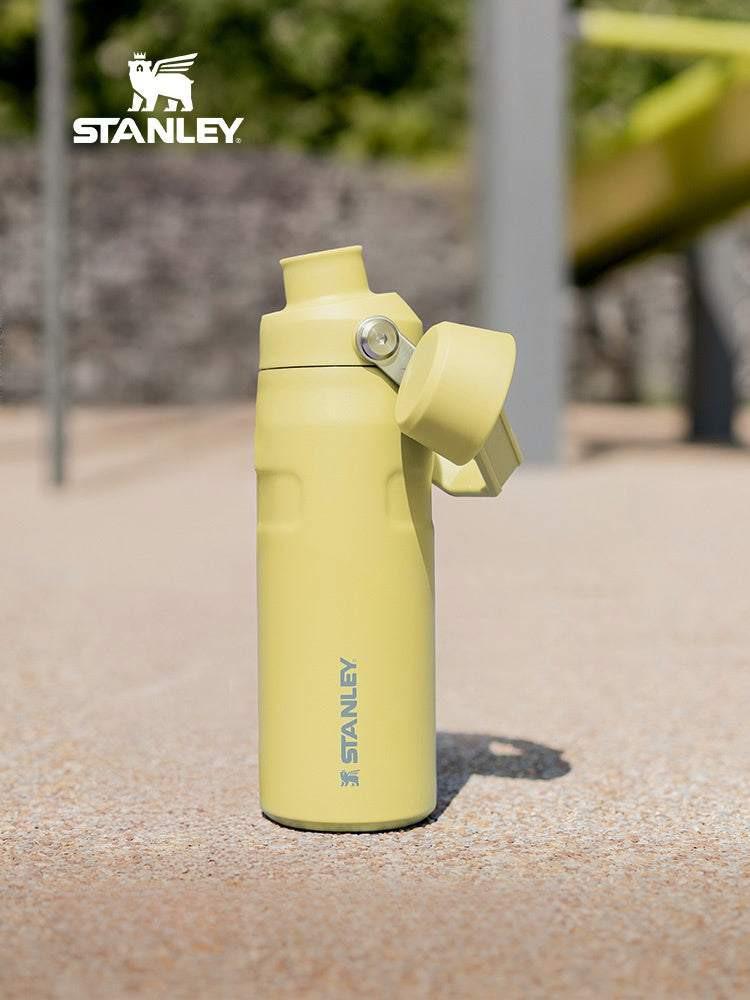 Stanley high-value fashion insulation cup.
