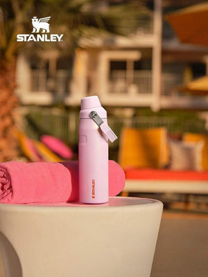 Stanley high-value fashion insulation cup.