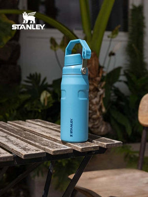 Stanley high-value fashion insulation cup.